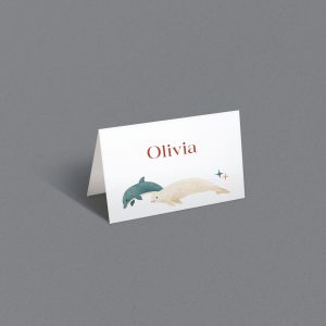 segnaposto-cavaliere-oceano